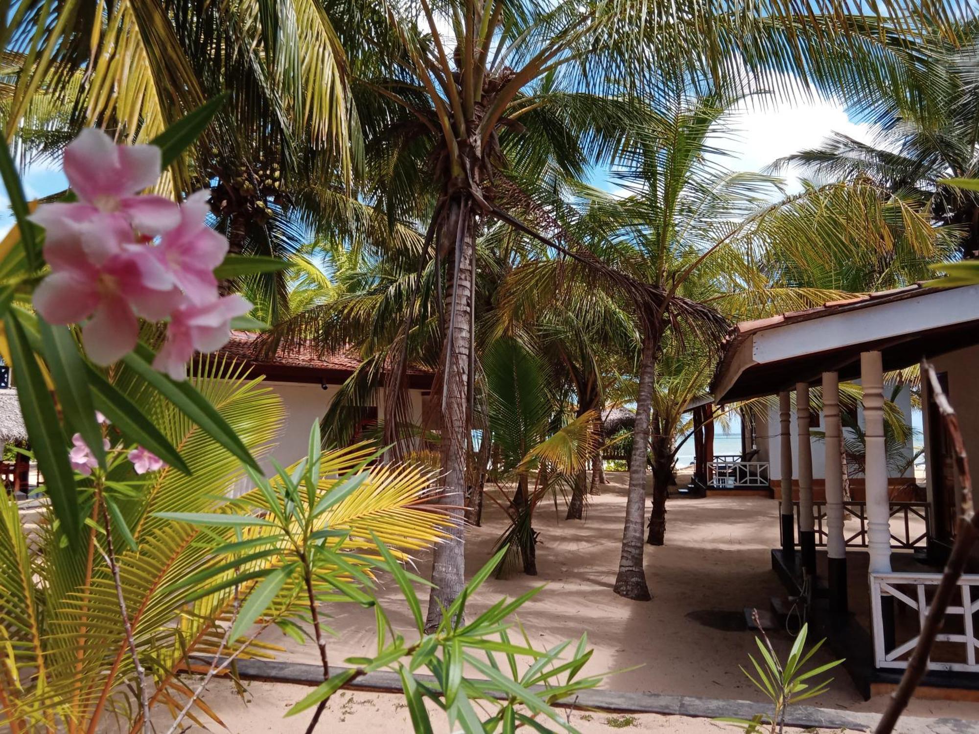 Ibisbird Beach Bungalows, Sport, Spa And Restaurant Tangalle Exterior foto